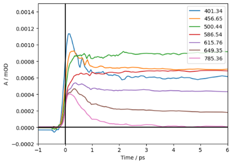 Kinetics at selected wavelengths.